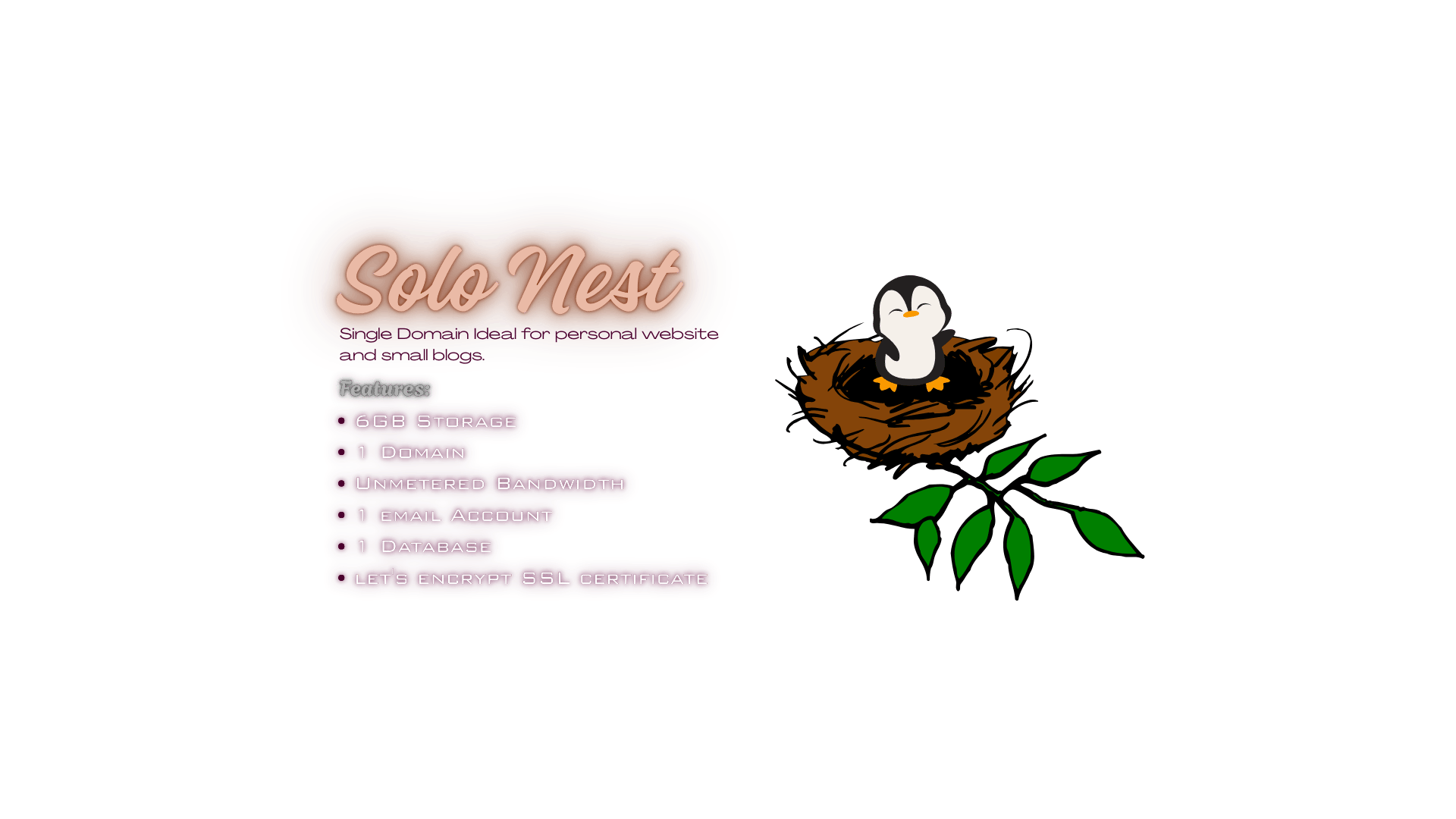 Solo Nest