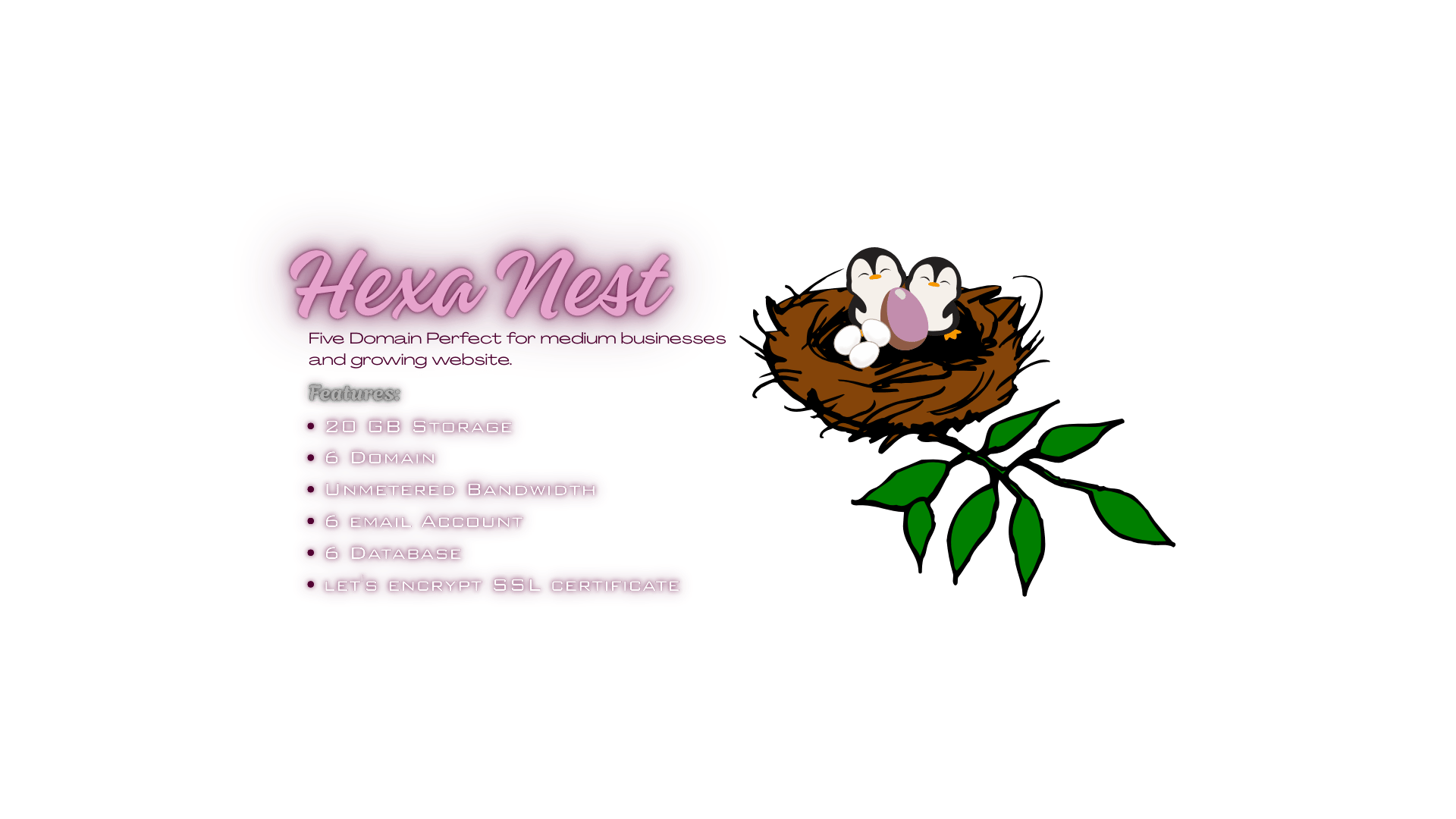 Hexa Nest